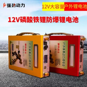 파워뱅크 리튬 인산철 12V 대용량 100A 200A 배터리 야외 캠핑용 조명 배터리, 100AH  충전기 + 가방, 1세트