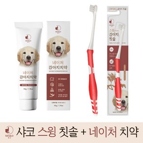 구비나무 샤코 강아지칫솔치약 세트 (치약 유통기한 26년 4월), 1세트, 50g