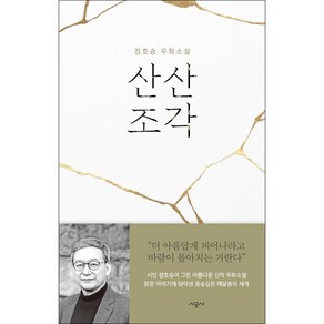 산산조각 + 미니수첩 증정, 정호승, 시공사