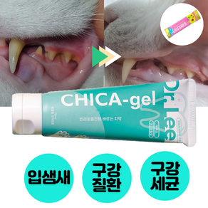 강아지 고양이 바르는 먹는 치약 스케일링 입냄새 구내염 구강질환 구강세균 잇몸염증 (intagen), CHICA-gel 바르는 구강치약 70ml, 1개, 70ml