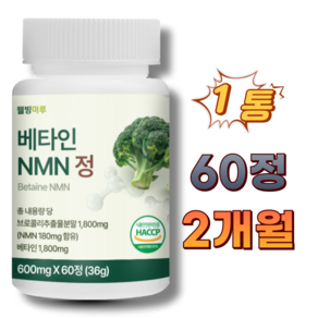 웰빙마루 엔엠엔 브로콜리추출분말 베타인 NMN 정