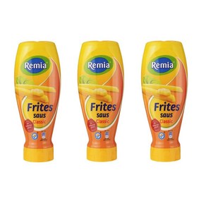 레미아 Remia 네덜란드 프리츠 소스 500ml x3, 3개