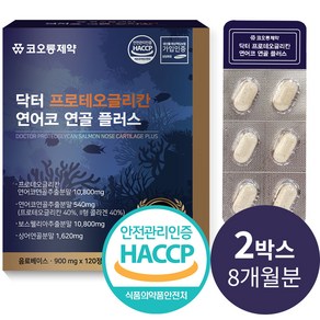 코오롱제약 닥터 프로테오글리칸 연어코연골추출물 식약처 HACCP 인증 개별포장, 120정, 2박스