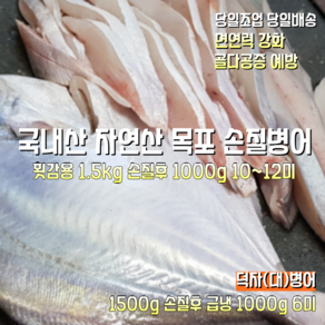 [산지직송] 국내산 자연산 목포 햇 생물병어 횟감용 1500g 손질후 1000g 10~12미 빙장포장. 덕자(대)병어 구이 조림용 1500g 손질후 급냉 1000g 6미 1박스, 횟감 1.5kg 손질후 1000g 10~12미 빙장포장