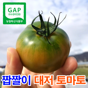 플라이팜 농협인증 프리미엄 고당도 짭짤이 대저토마토, 1박스, 2.5kg(프리미엄 특품 중과)