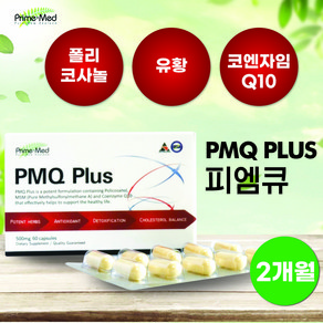 폴리코사놀 PMQ PLUS, 1개, 60정