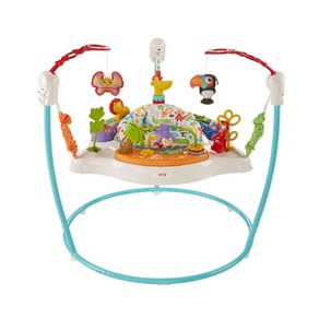 피셔프라이스 동물친구 액티비티 점퍼루 Fisher-Price Animal Activity Jumperoo Blue