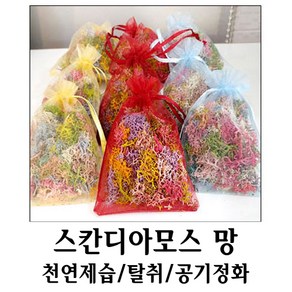 초록바위 실내공기정화 스칸디아모스, 1개, 30g