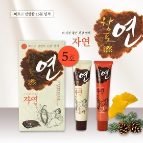 반창고닷컴 중외제약 창포연 자연 5호 자연갈색 60g 친환경 프리미엄 새치염색약, 1개