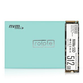 디오테라 NVMe SSD, 512GB, Roiple Ray