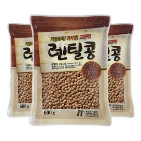 현대농산 갈색렌틸콩 1.8kg (600gx3봉) 렌즈콩, 3개