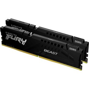 킹스턴 퓨리 비스트 32GB 2x16GB 5600MTs DDR5 CL36 데스크탑 메모리 키트 2개  AMD EXPO 플러그 앤 플레이 KF556C36BEK232, 1개