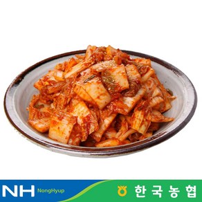 한국농협 마이산김치 국내산 막김치 1kg, 1개