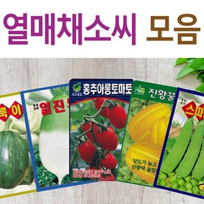 살아있는 씨앗 모음 열매씨앗 여주 우엉 박 토마토 참외 수박 오이 호박 가지 옥수수 깨 콩 팥 수수 밀 배추 양배추 열무 알타리 당근 무 비트 콜라비 고추 파프리카 종자