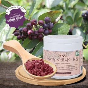 영이천 유기농 아로니아 분말, 200g, 1개