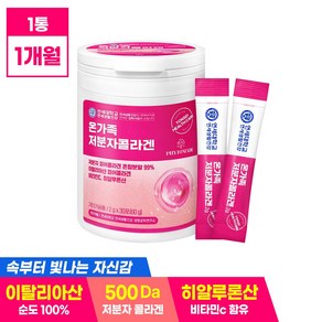 연세생활건강 파이토메이드 헬스케어 온가족 저분자 콜라겐 30p, 60g, 1개