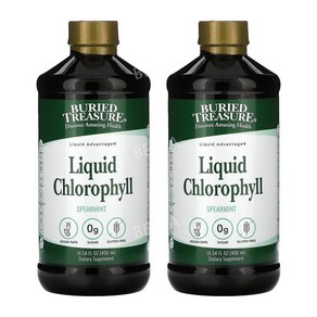 버리드 트레져 리퀴드 클로로필 엽록소 480ml 2병 액상 Chloophyll, 2개