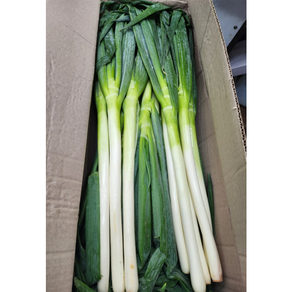 수입산] 중국 뿌리없는 손질 깐 신선 대파 업소용 대용량 식자재 파채용, 1박스, 5kg