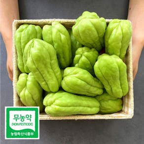 무농약인증 아삭아삭 경북 상주 햇 차요테 특품