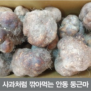 24년산 안동 둥근마 상품 5kg (정직을 배달합니다)