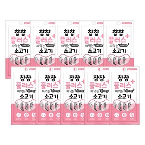 인터펫코리아 챱챱플러스 짜먹는 강아지 유산균 파우치 60g, 소고기맛, 10개