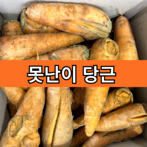 못난이 제주 당근 쥬스용 흙당근 구좌당근, 1박스, 3kg