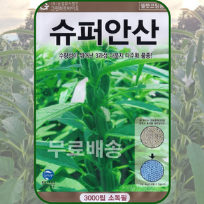 주주씨앗 슈퍼안산참깨 씨앗 3000립 펠렛코팅종자 참깨 씨앗 종자, 1개