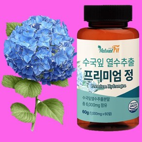 수국잎 열수추출물 ampk효소 프리미엄 1000mg 60정 (2개월분), 2개