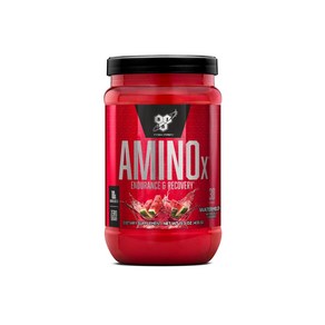 BSN Amino X Muscle Recovey & Enduance Powde wit BSN 아미노산 X BCAA 함유 근육 회복 및 지구력 파우더 운동 중 지원 아미노산, 수박, 539.77g, 1개