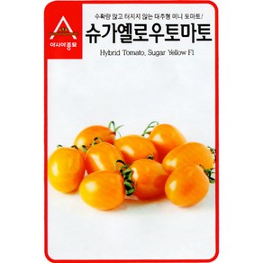 슈가 옐로우 토마토 씨앗 대추형 채소 야채 종자 20알, 1개