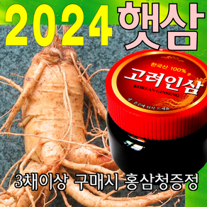 금산인삼아줌마 인삼 (5호)왕난발삼 750g 산지에서 발송 가정용 수삼