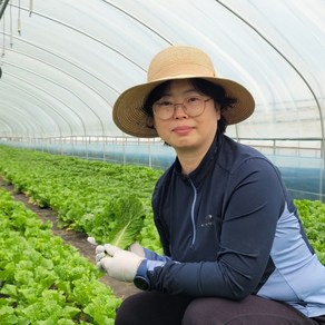 양평희망농장 모듬 쌈채소 유러피안 유럽상추 로메인 케일 모듬쌈 쌈야채, 1박스, 500g