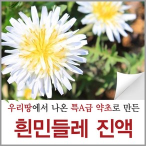 신토불이약초 흰민들레 진액 양구 하얀민들레 즙 액기스 원액 90ml 60포, 1개, 5400ml