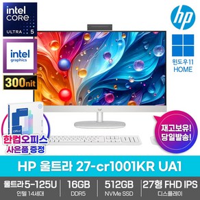 HP 올인원 PC 울트라 27-c1001KR UA1 16GB램/SSD512GB/인텔14세대/울트라5-125U/Win11, 16GB