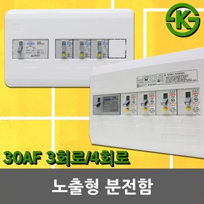 노출형 분전반 분전함 3회로 4회로 차단기함 배전함 배전반 완전조립형 누전차단기 배선차단기 3분기 4분기 30AF 50AF 차단기박스 차단기 국산 전기 차단기포함 5회로 6회로, 02. 서울산전 노출형 분전함 4회로, 1개