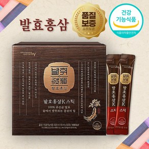 식약처 기능성 인정 발효 홍삼 스틱 30포, 300ml, 1개