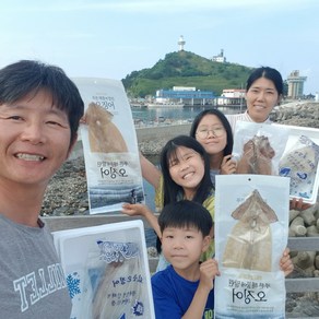 [서민갑부 오징어] 천해수산 건 마른오징어 10마리 부드러운 건조오징어 덕장 직배송, 대 10미(750g내외), 1개