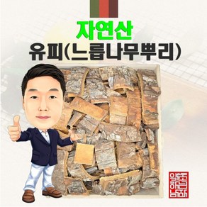 자연산 유피(느릅나무껍질) 100g (경북 영천) 국내산 국산, 1개