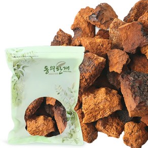 동의한재 최상품 시베리아 러시아 차가버섯, 1kg, 1개