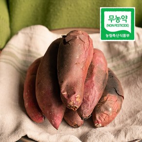 나성주꿀고구마 영암 세척 햇고구마, 1박스, 3kg(긴상)