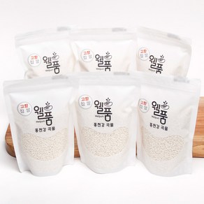 홍천강 누룽지향 고향 찹쌀, 6개, 500g