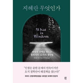 지혜란 무엇인가:현명한 선택을 만드는 철학자의 12가지 생각법, 다산초당, 케이반 키안 저/박지혜 역