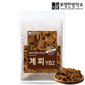 부영한방약초 거피 계피 YB2 300g 베트남, 1개