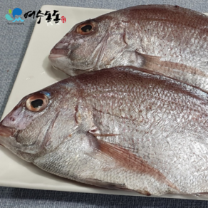 (여수동동식품)반건조 참돔 1미당 25cm 내외 2마리 450g~500g 국내산 / 와사비 믹스 간장 증정, 1개