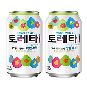 토레타 이온음료 캔, 340ml, 12개