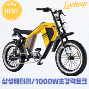 Luckeep 2025년 전기자전거 PAS 자토바이 고압 성인용 52v 1000W 배달용 M5-max, 엘로우, 알루미늄