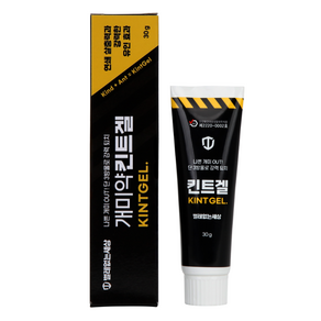 킨트겔 개미약 개미퇴치법 약국, 30g, 1개