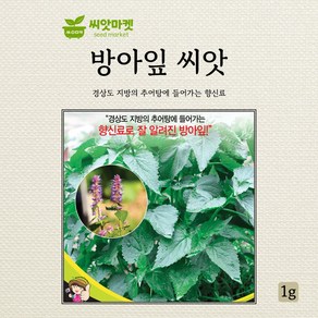 세계종묘 방아잎 배향초 씨앗 1g, 1개