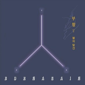 (LP) 부활 - 5집 불의 발견 (180g)