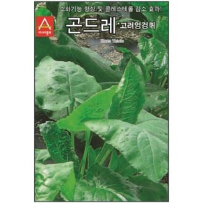 아시아종묘 씨앗 곤드레 고려엉겅퀴 100립, 1개